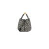 Large Dior Nolita Bag