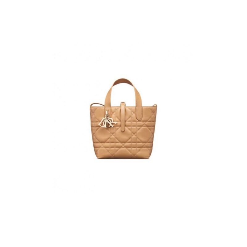 Small Dior Toujours Vertical Tote Bag