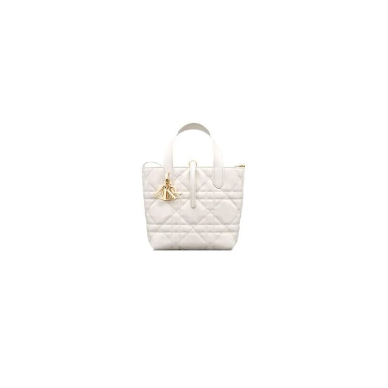 Small Dior Toujours Vertical Tote Bag