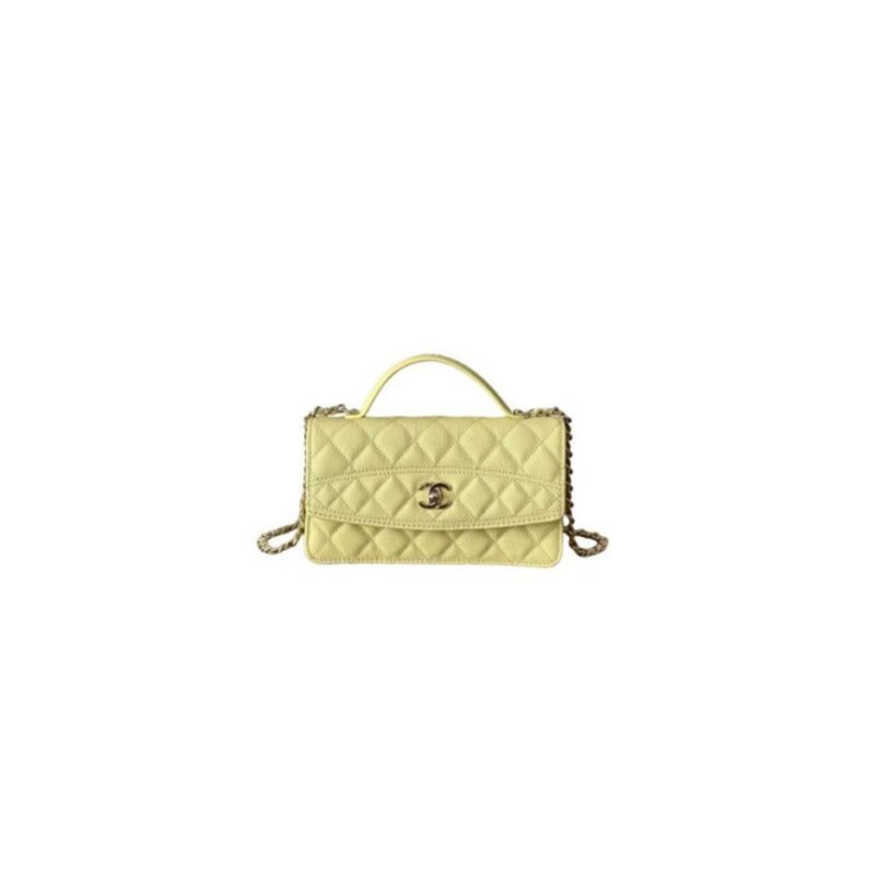 CHANEL Chain Clutch
