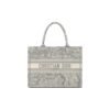SMALL DIOR BOOK TOTE