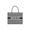 SMALL DIOR BOOK TOTE
