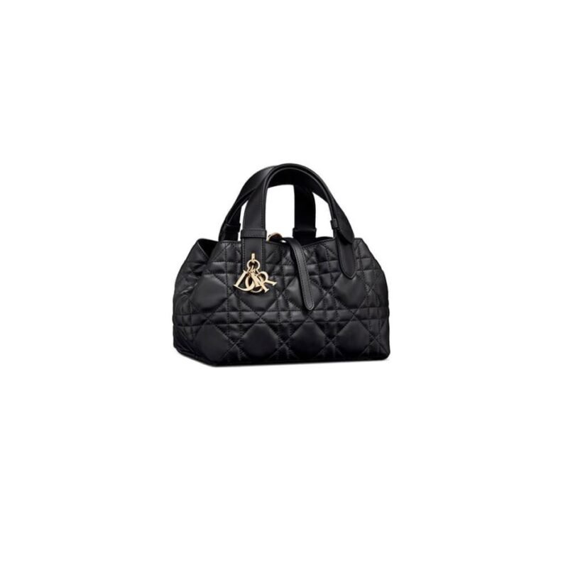 SMALL DIOR TOUJOURS BAG