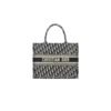 MEDIUM DIOR BOOK TOTE