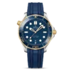 DIVER 300M CO?AXIAL MASTER CHRONOMETER 42 MM-210.22.42.20.03.001